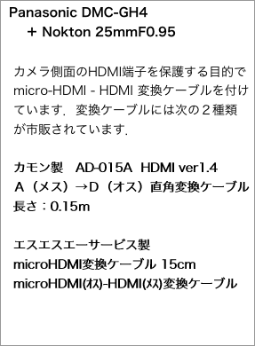   Panasonic DMC-GH4 